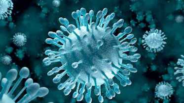 Coronavirus.jpg