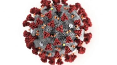 coronavirus 4.jpg