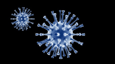 coronavirus.jpg