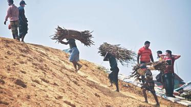 coxs_bazar_forest_in_danger-1.jpg