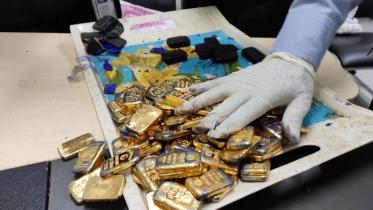 Ctg gold-1.jpg