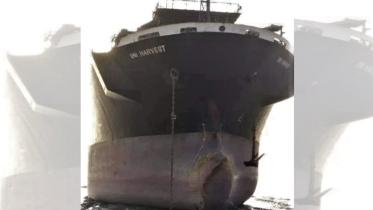 ctg ship china.jpeg