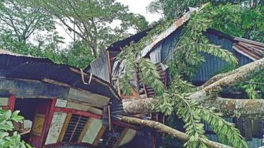 cyclone_bulbul.jpg