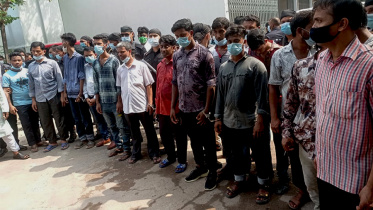 ডিএমসি.jpg