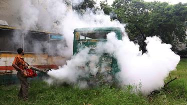dengue_10.jpg