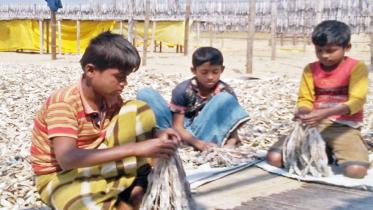 dry fish child labour.jpg