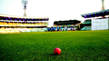 eden pink ball test