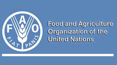 FAO_Logo.jpg
