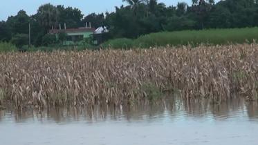 Faridpur Ag- Flood Photo 02 (1).jpg