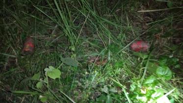 faridpur bomb.jpeg