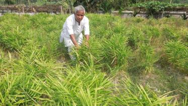farmer_sukumar_roy-1.jpg