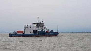Ferri-Shimulia.jpg