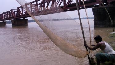 Fishing_Tista_Dhorola.jpg