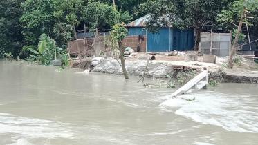 FLOOD.jpg
