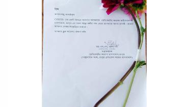 Flower.jpg