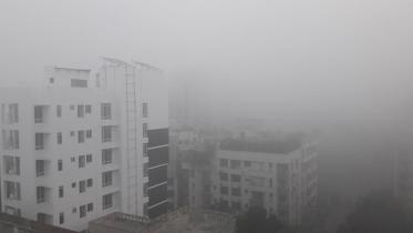fog_3.jpg