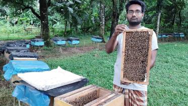 Gazipur_Honey_31Oct20.jpg