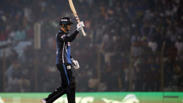 hales.jpg