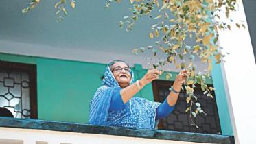 hasina_a_daughters_tale_1.jpg