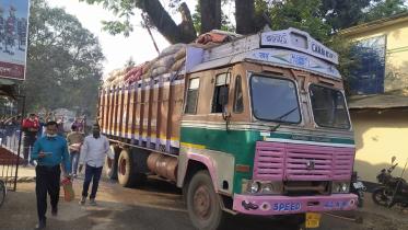 HILI ONION IMPORT.jpg