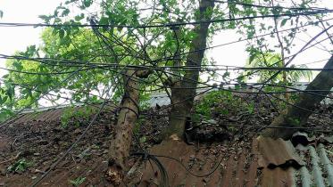 Jhenaidah-Electricity.jpg