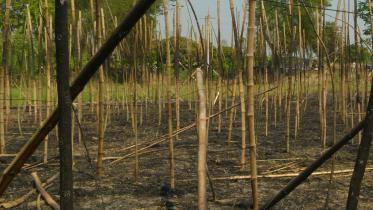 Jhenaidah Fire.jpg