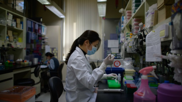 Korea lab