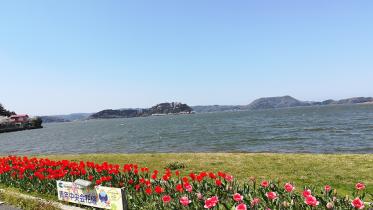Koyama Lake (Backside of University).jpg