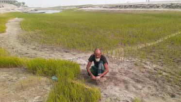 Kurigram Brahmaputra char farmer.jpg