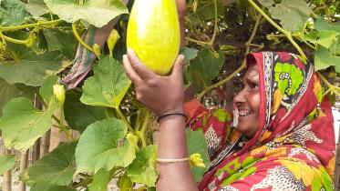 Kurigram Brahmaputra shoal people-01.jpg