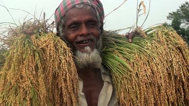 Lalmonirhat-Farmer.jpg