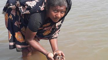 Lalmonirhat-Jhinuk-collection_Star.jpg