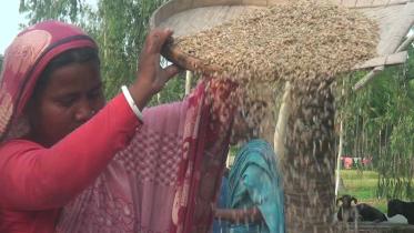 Lalmonirhat-rice-prices.jpg