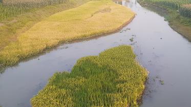lalmonirhat.jpg