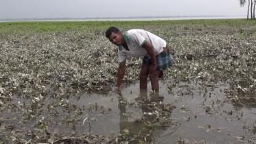 lalmonirhat.jpg