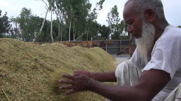 Lalmonirhat Farmer Mantu Mandal