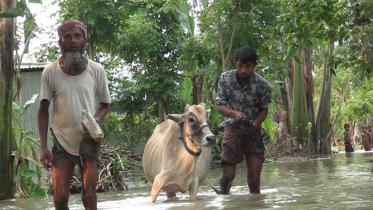 Lalmonirhat_Flood23Jul20.jpg