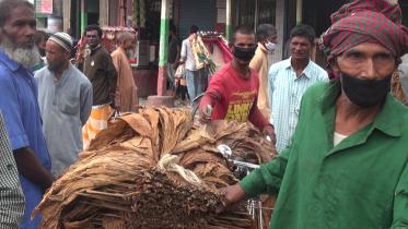 Lalmonirhat illegal haat toll.jpg