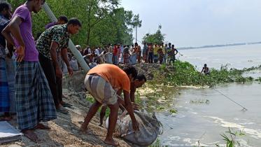Lalmonirhat teesta dyke-03 (29.09).jpg