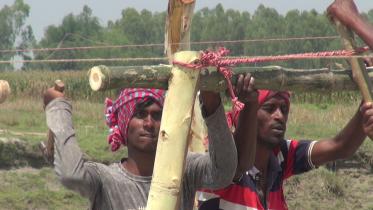 lalmonrhat.jpg
