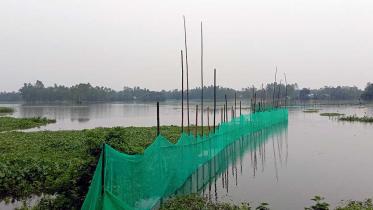 Manikganj-fisheries.jpg