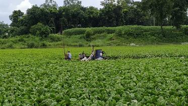 Manikganj illegal derdging-2.jpg
