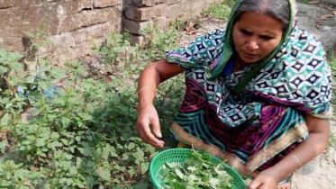 Manikganj veg.jpg