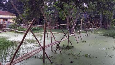 manikgonj1.jpg