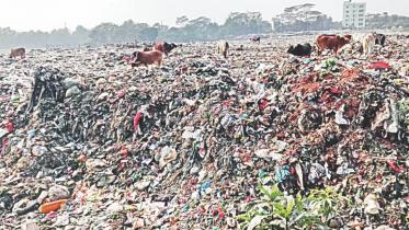 medical_waste.jpg