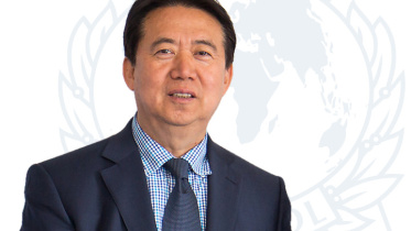 Meng-Hongwei-1.jpg