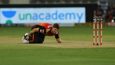 mitchell marsh