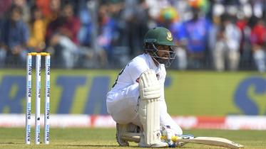mominul haque
