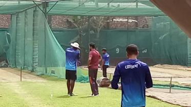 ম্যাশ giboson.jpg