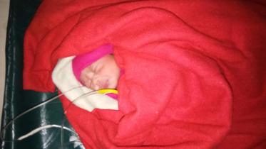 newborn.jpeg